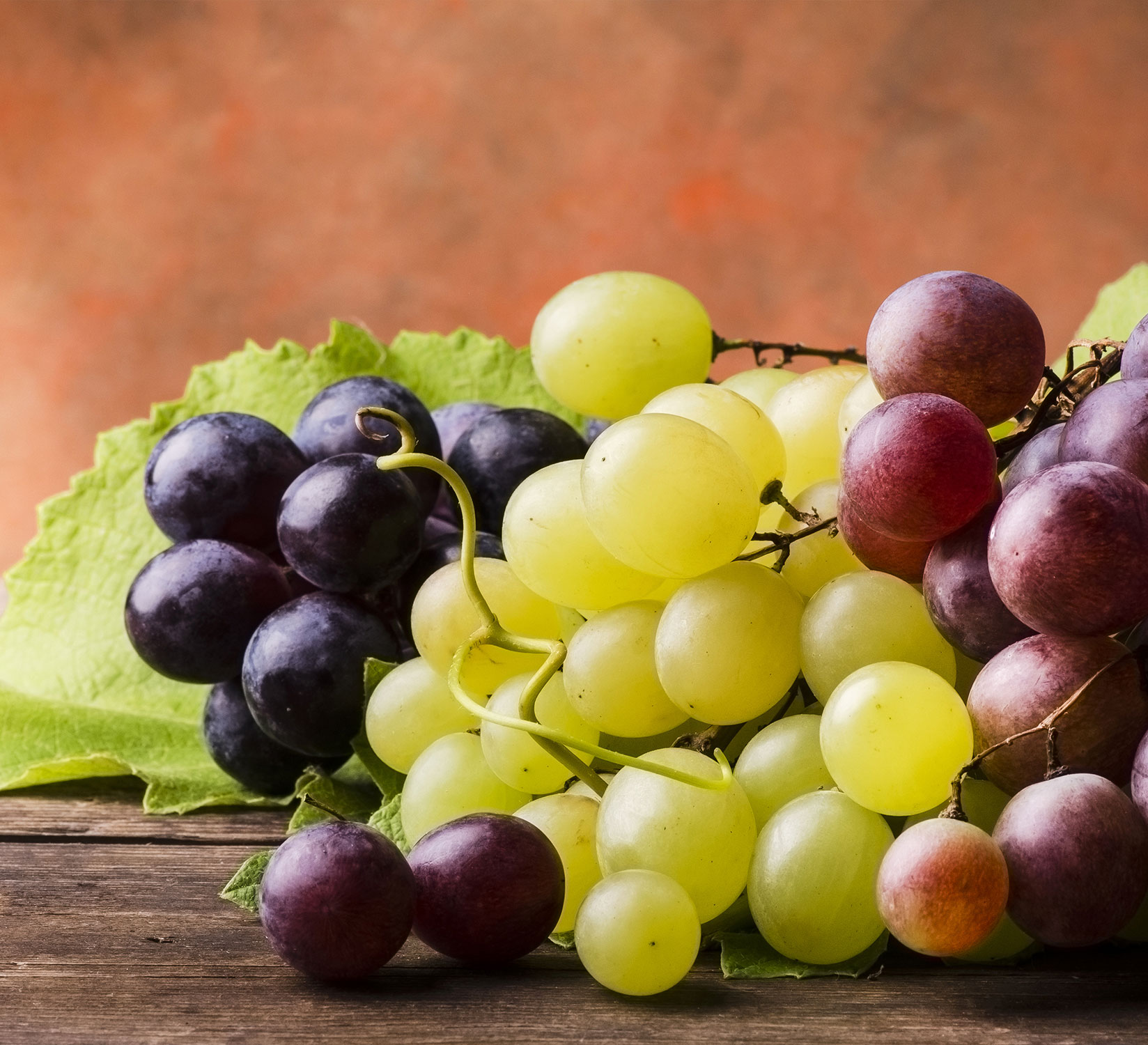 This image for Image Layouts addon